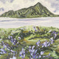 Crested Butte Dreams