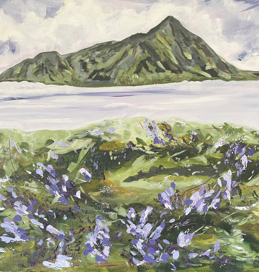 Crested Butte Dreams