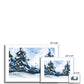 Evergreen Serenity Framed & Mounted Print